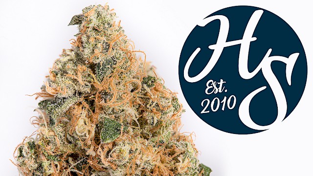 Herbal Solutions is now open for adult-use recreational marijuana sales